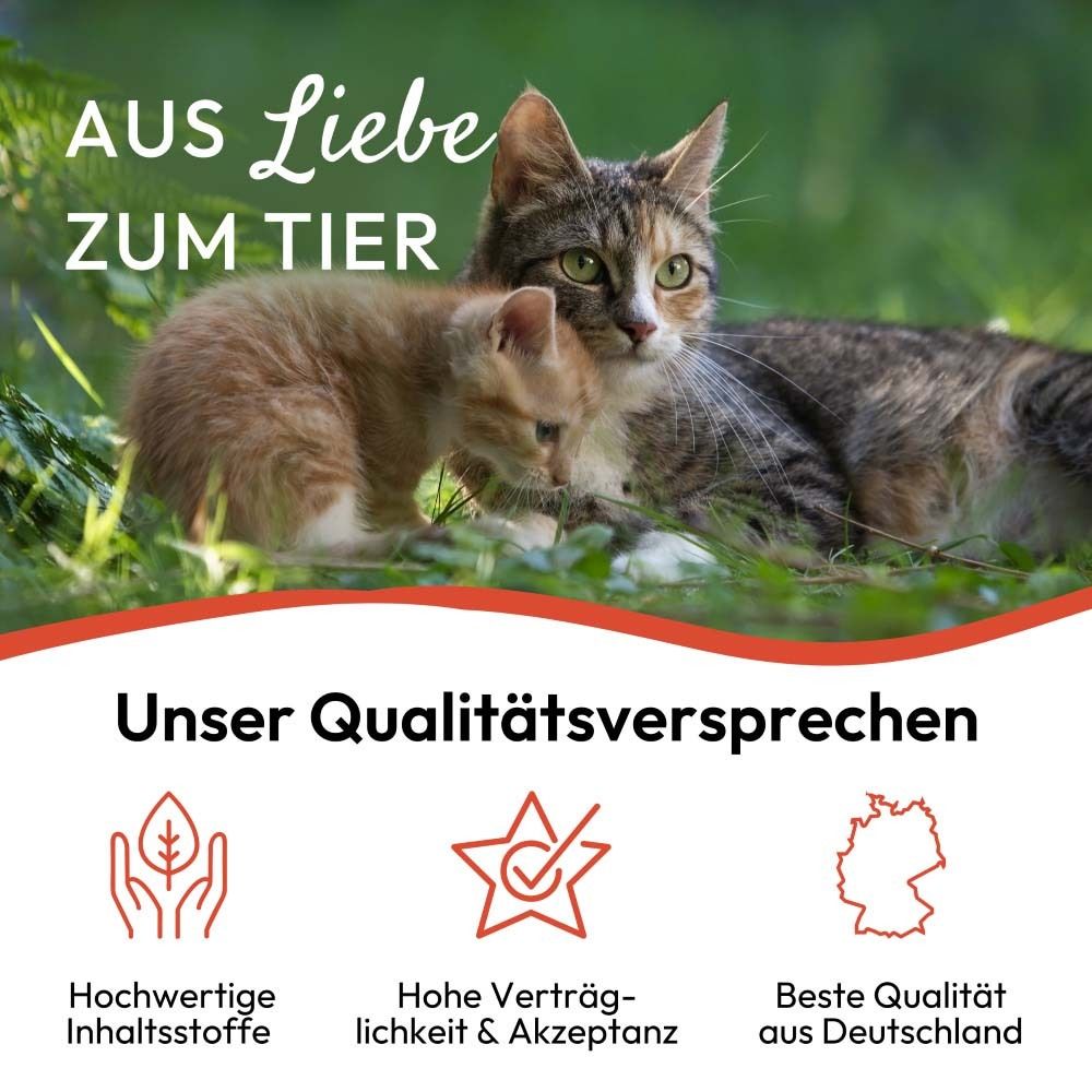 Zwei Katzen mit Text: Aus Liebe zum Tier. Logo: PHA PETVET. Text: SpotOn-Tropfen Für Katzen. Unser Qualitätsversprechen.