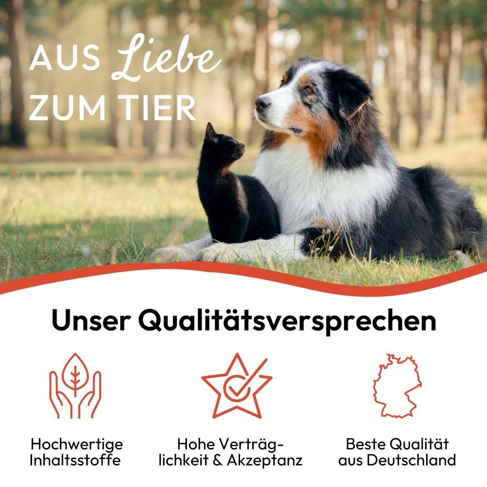 Bild mit Hund und Katze. Text: Aus Liebe zum Tier. Unser Qualitätsversprechen. Logo und Qualitätssiegel.