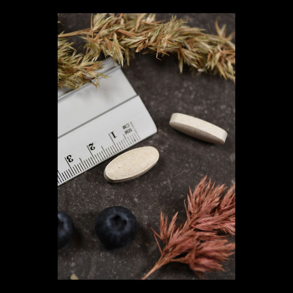 Zwei Tabletten, Lineal, Blaubeeren und Pflanzen auf dunklem Untergrund. Tabletten sind länglich.