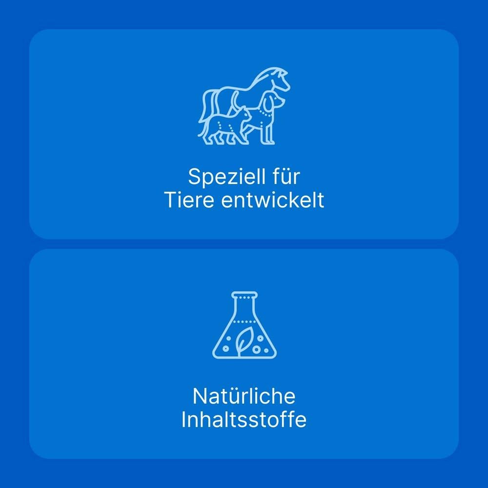 Blauer Hintergrund mit Icons: Pferd, Hund, Katze. Text: Speziell für Tiere entwickelt. Natürliche Inhaltsstoffe.