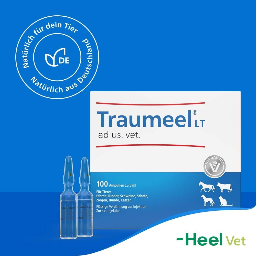 Packung Traumeel® LT ad us. vet. mit Ampullen und Logo. Enthält 100 Ampullen zu 5 ml. Für Tiere.