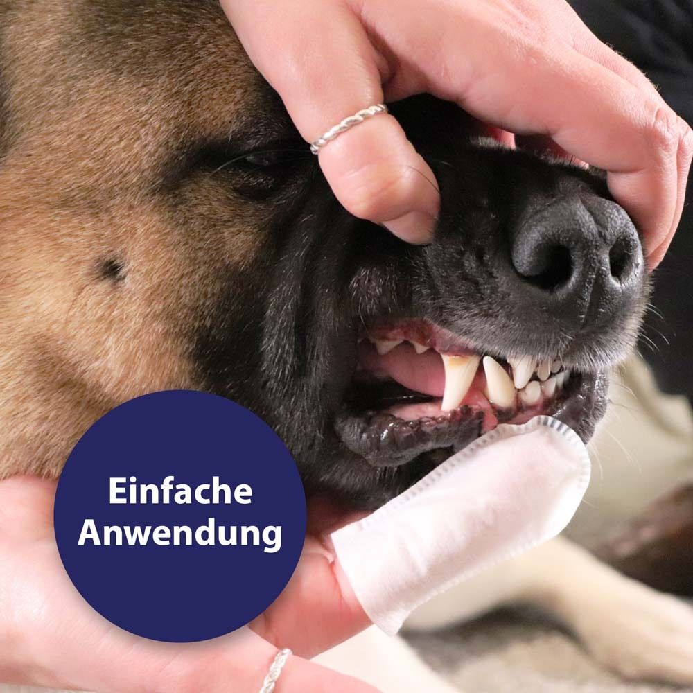 Canosept® Zahnpflege Finger-Pads für Hunde