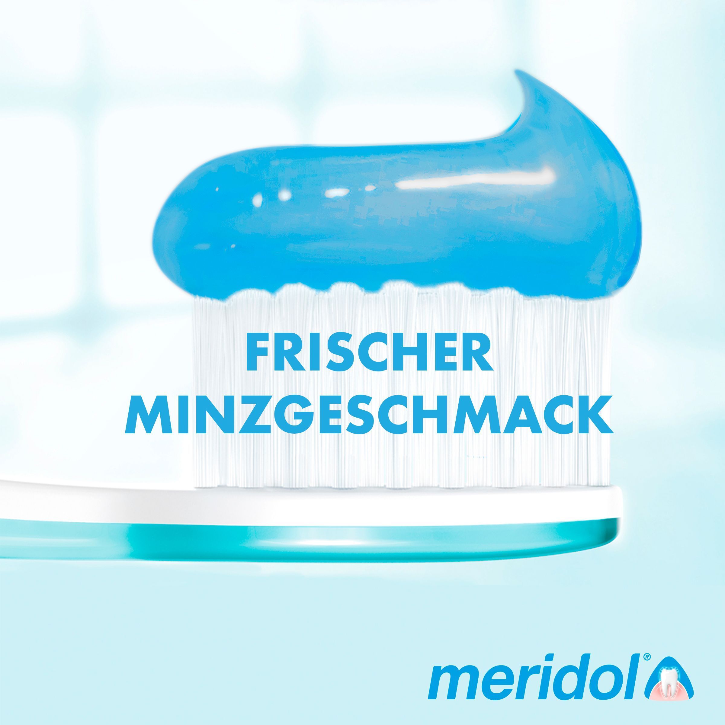 meridol Probier Set: Zahnbürste + Zahnpasta + Mundspülung
