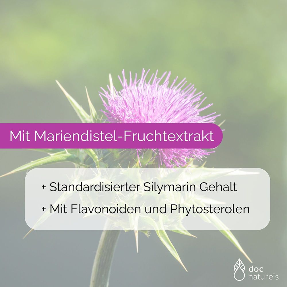 Grüne Dose mit Swanson Full Spectrum Schisandra Berries Kapseln, 90 Kapseln.
