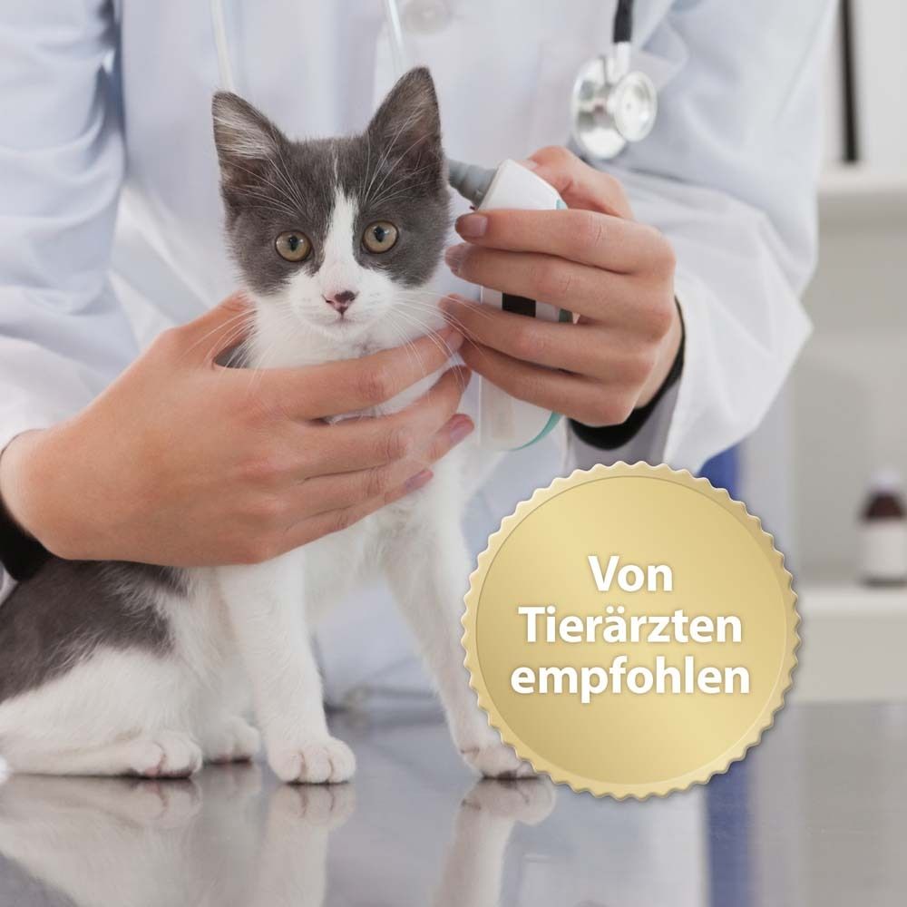 Tierarzt untersucht Katze. Auszeichnung: Von Tierärzten empfohlen.