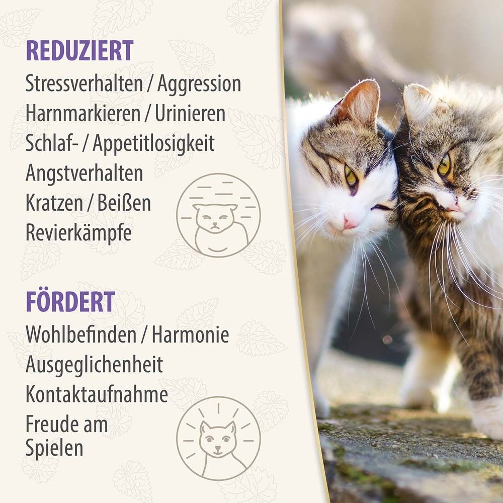 Text mit Aufzählungen: Reduziert Stressverhalten, Aggression, etc. Fördert Wohlbefinden, Harmonie, etc. Zwei Katzen.