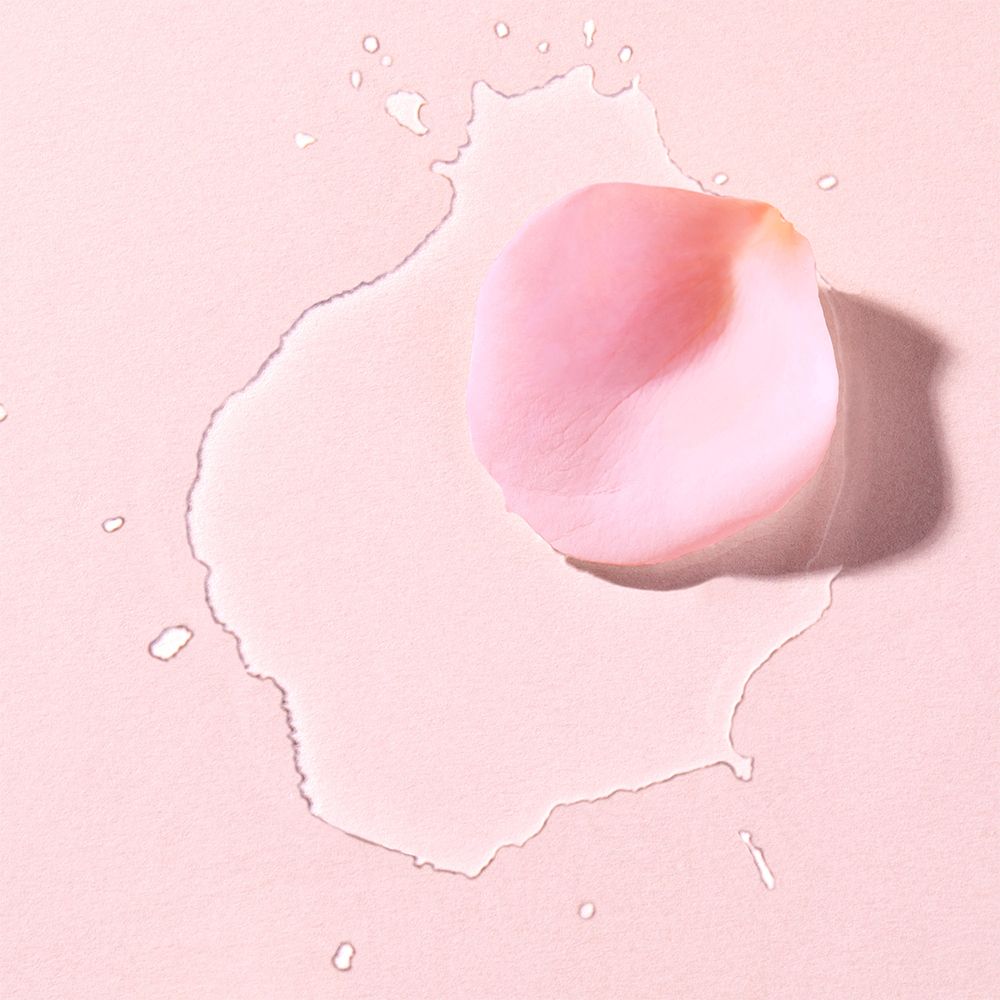 Rosa Rosenblüte auf einer Pfütze aus Flüssigkeit. Helle, rosa Hintergrund.