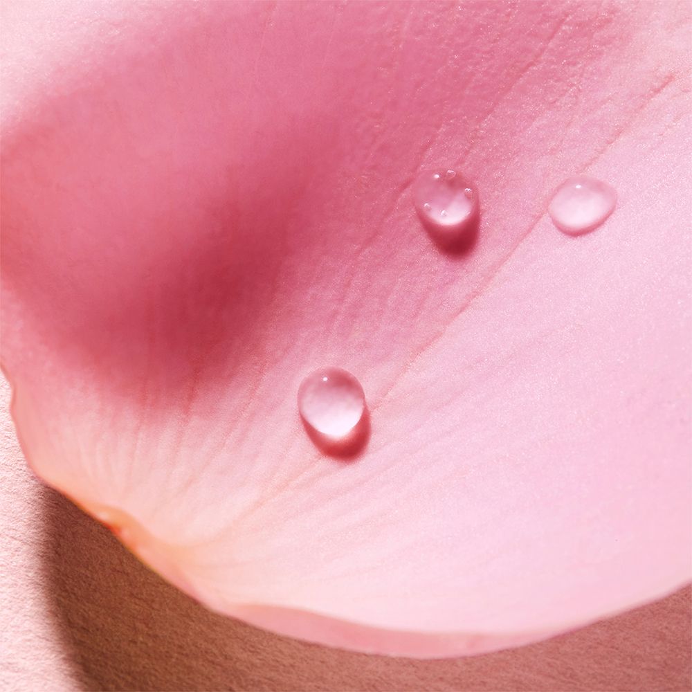 NUXE Very Rose Beruhigendes Mizellenwasser zur Make-up Entfernung und sanften Reinigung normaler, empfindlicher Haut