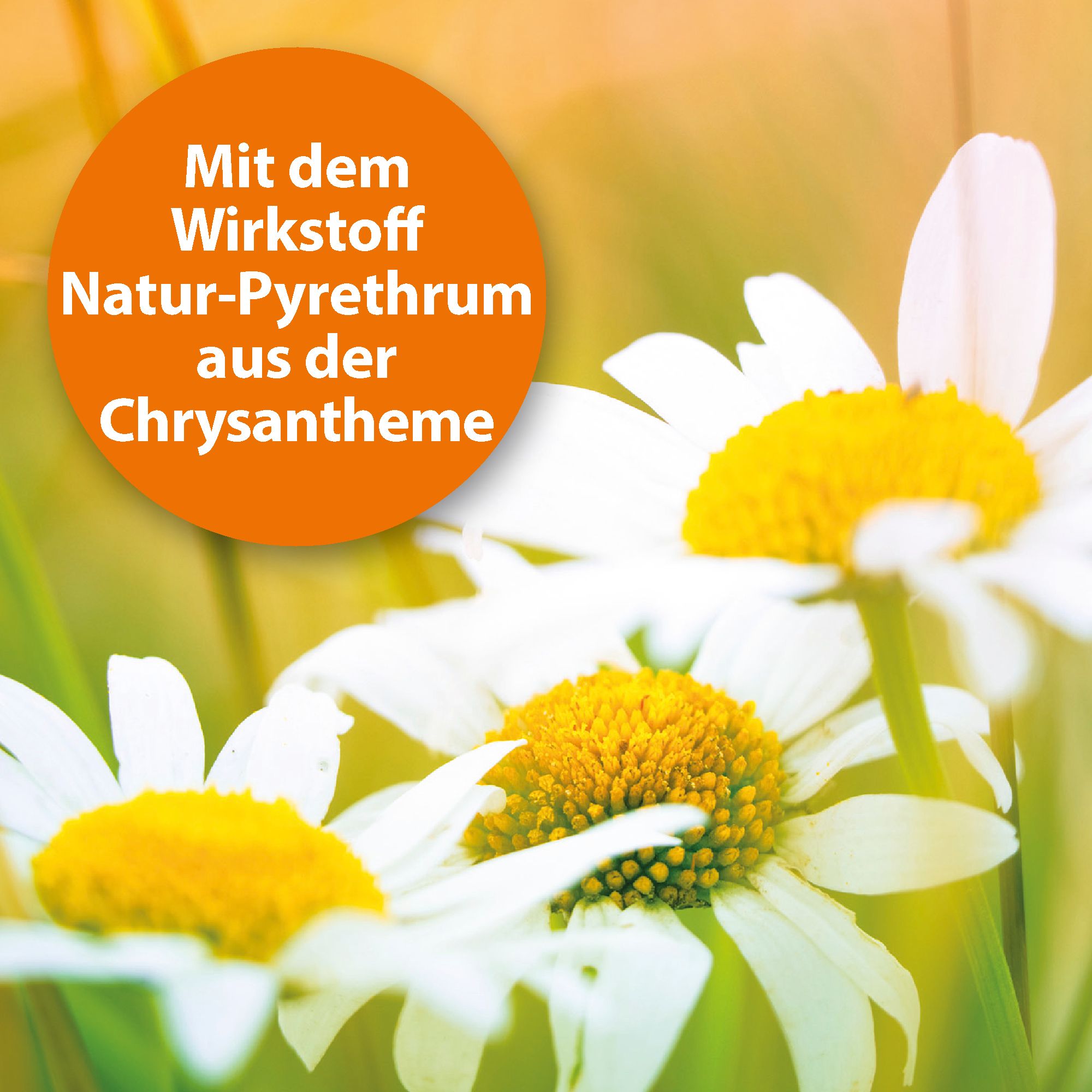 Ardap Spot-on für Kleintiere