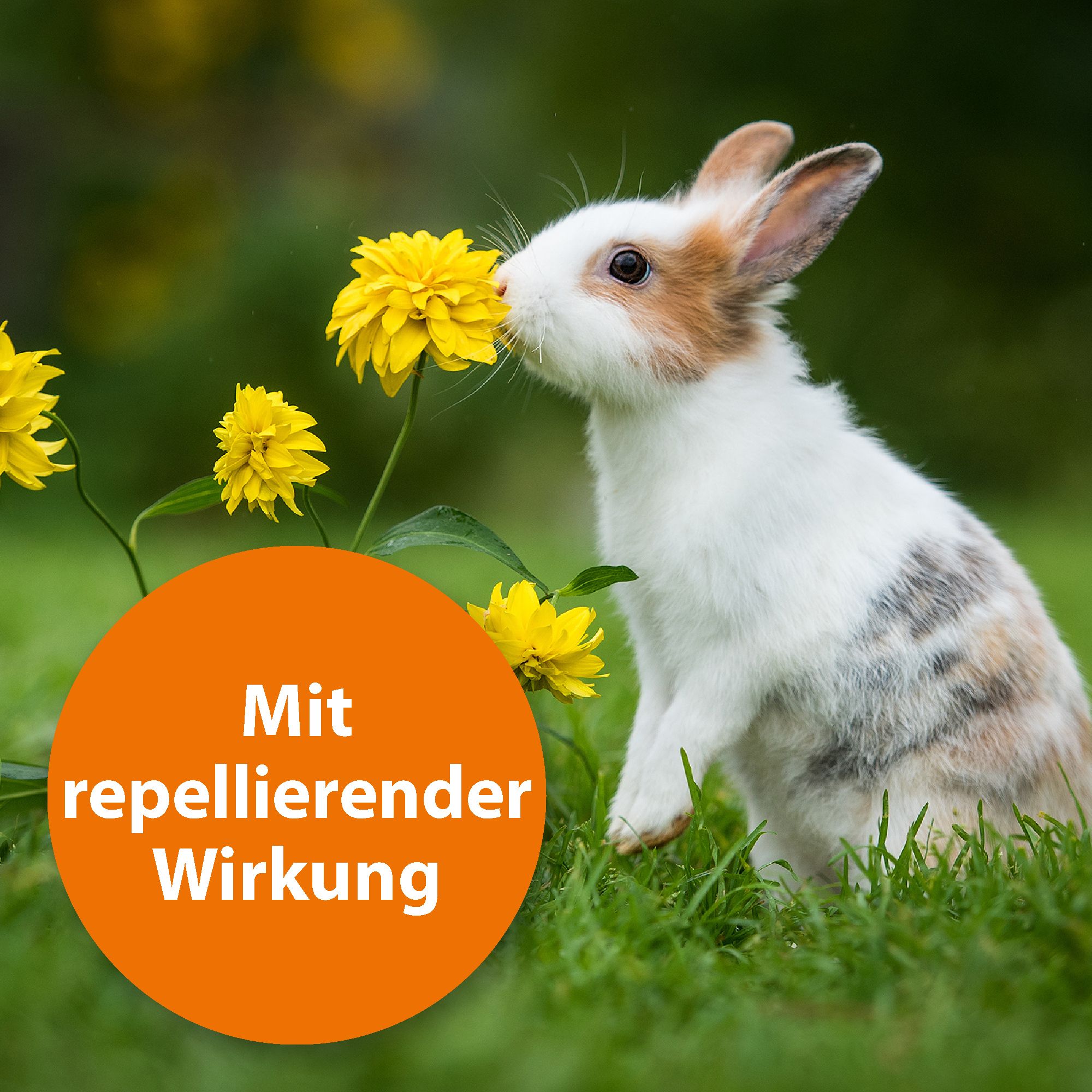 Ardap Spot-on für Kleintiere