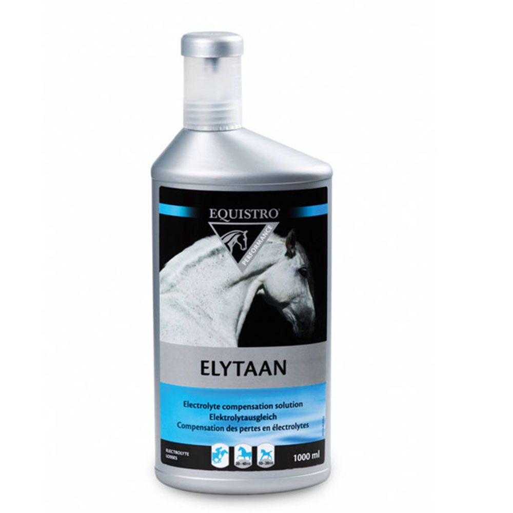 EQUISTRO® Elytaan