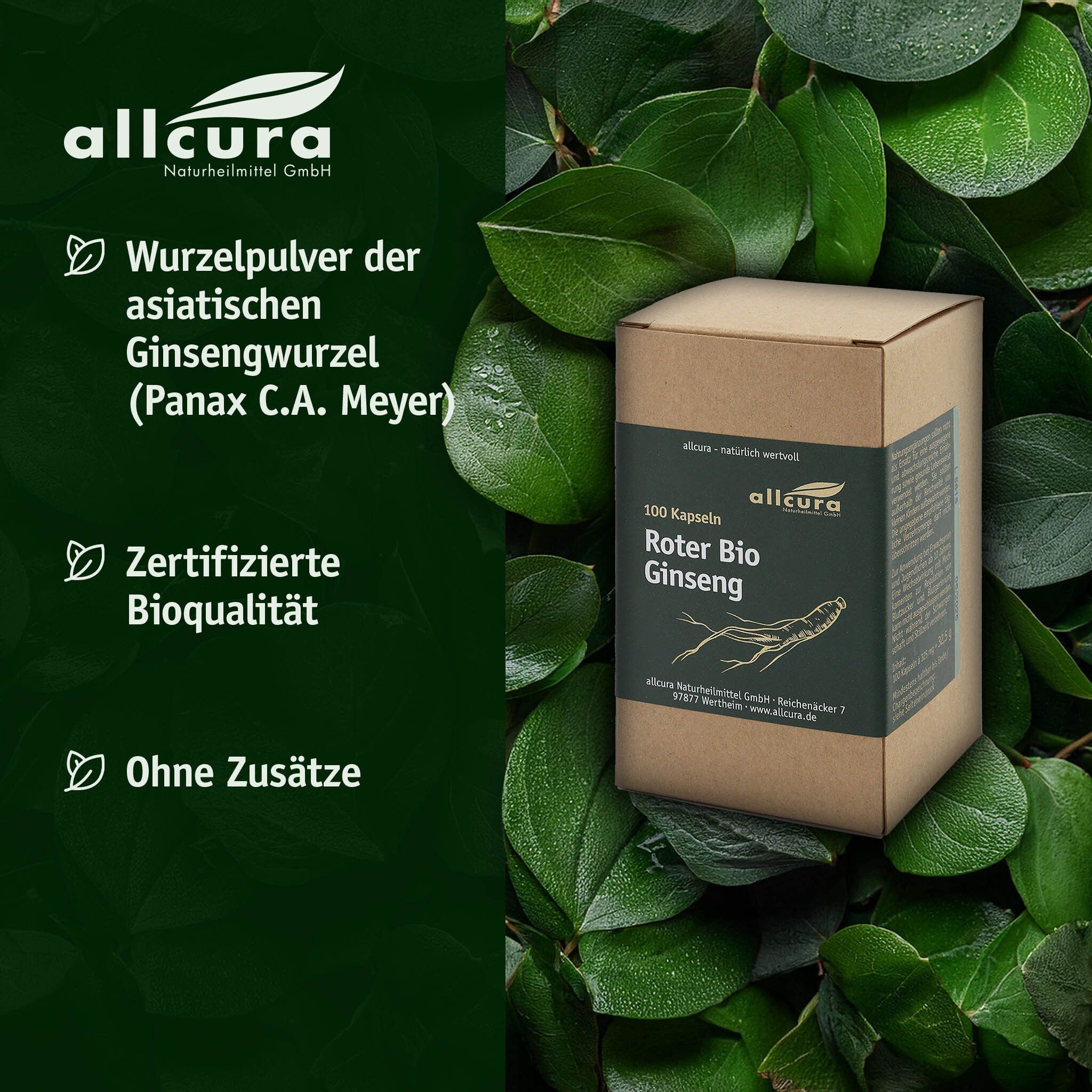 Kartonbox mit grüner Beschriftung. Enthält 100 Kapseln Roter Bio Ginseng. allcura Logo. Blätter im Hintergrund.