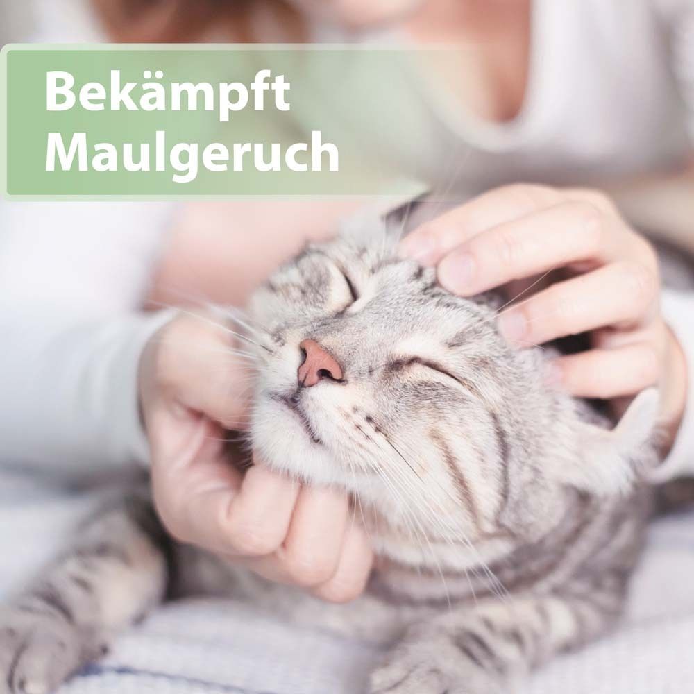 Katze wird am Kopf gestreichelt. Text: Bekämpft Maulgeruch.