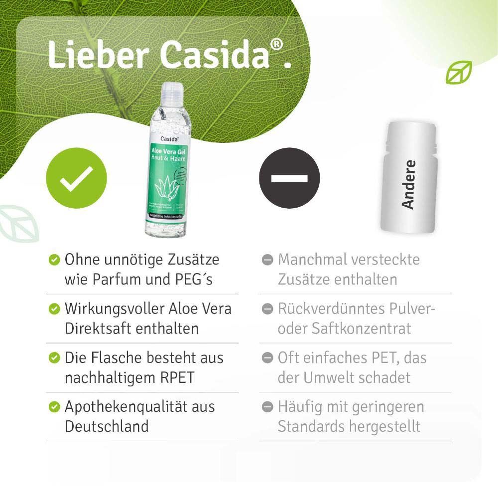 Grüner Hintergrund mit Text. Text: Lieber Casida. Vorteile und Nachteile des Produkts.