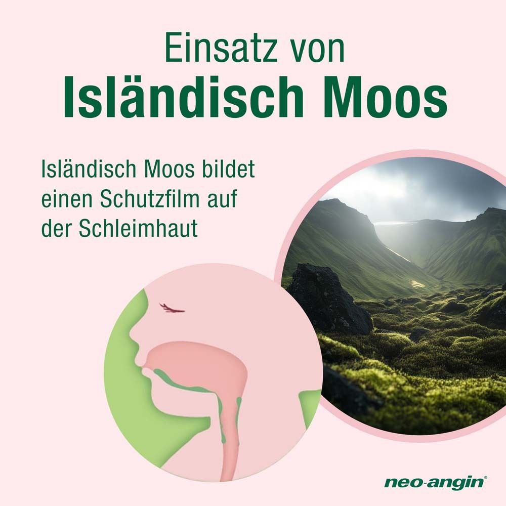 Illustration von Rachen und Lunge. Text: Einsatz von Isländisch Moos. Bildet Schutzfilm auf der Schleimhaut.