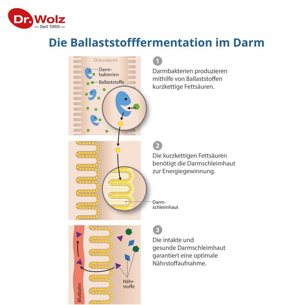 Grafik: Ballaststofffermentation im Darm. 3 Schritte: Darmbakterien produzieren Fettsäuren. Fettsäuren für Energie. Gesunde Darmschleimhaut.
