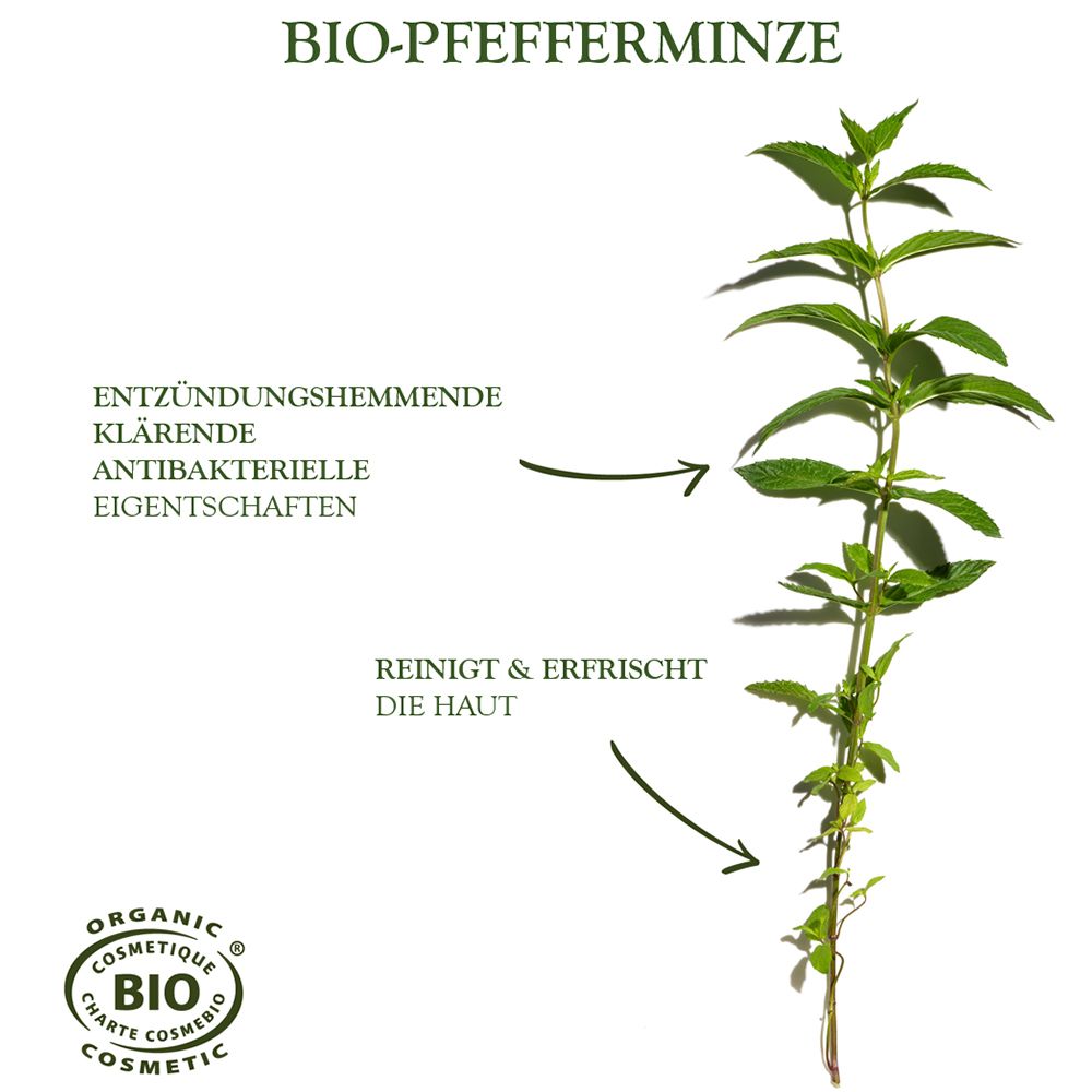 Pflanze mit Pfefferminze. Text: Bio-Pfefferminze, reinigt & erfrischt die Haut.