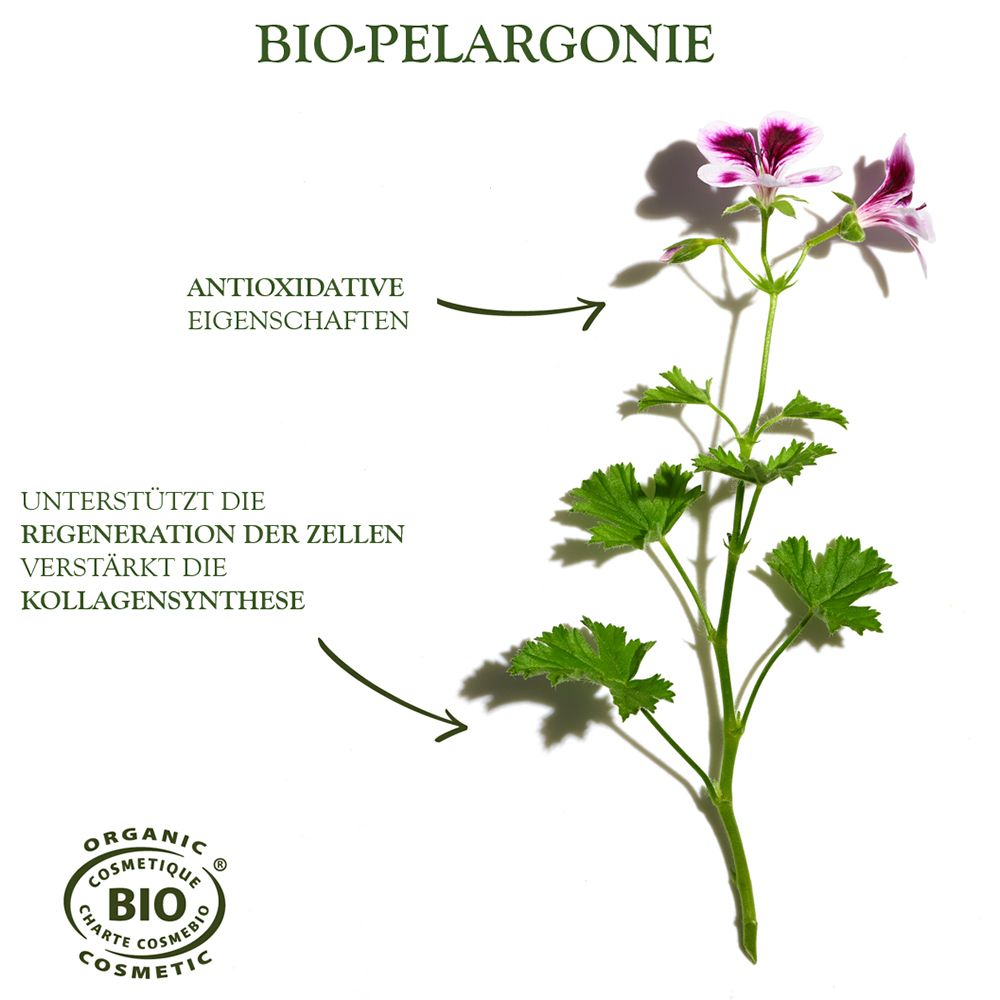 Sanoflore Balsam Merveilleux