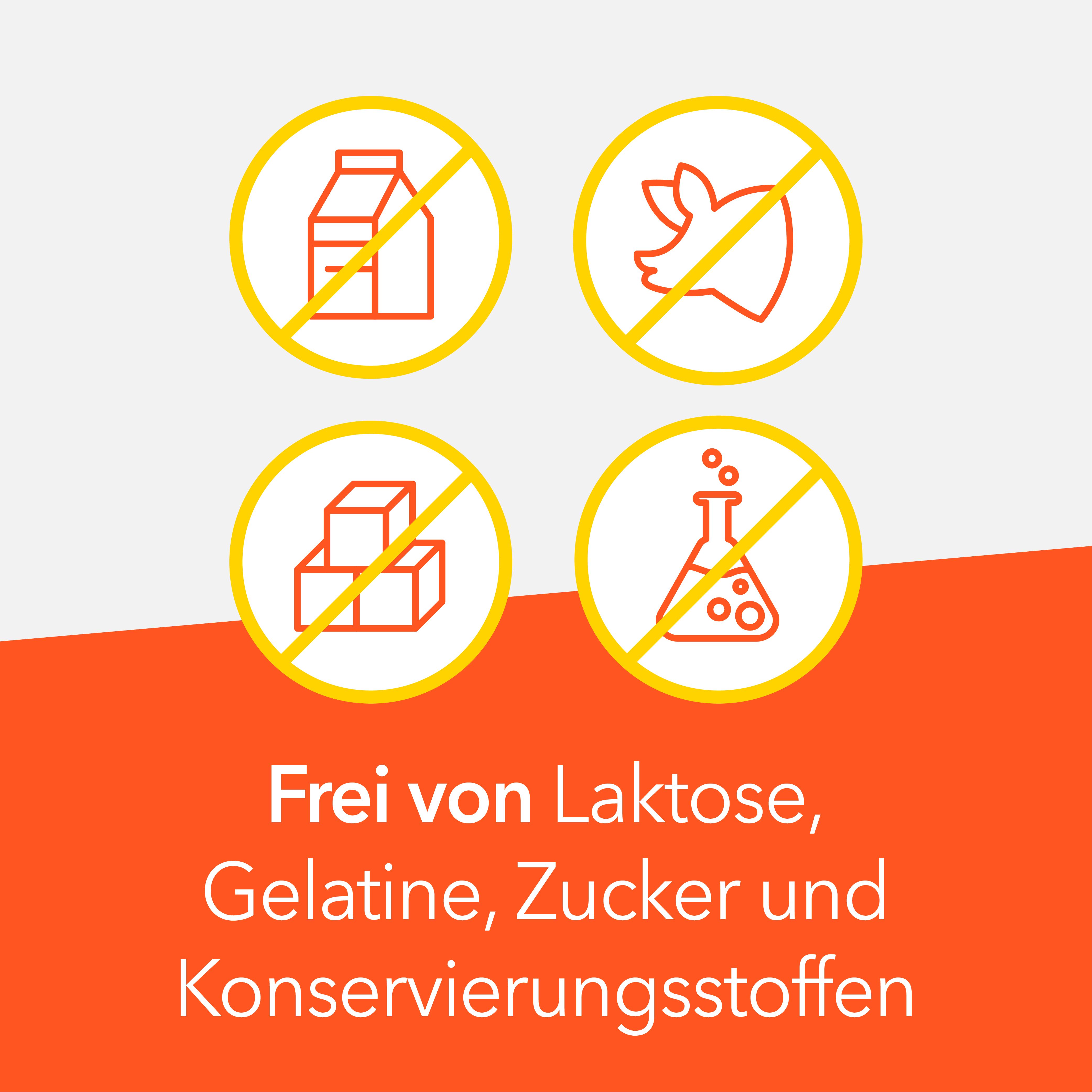 Gelbe Symbole: Milch, Fleisch, Zucker, Chemielabor mit Durchstreichungen. Text: Frei von...