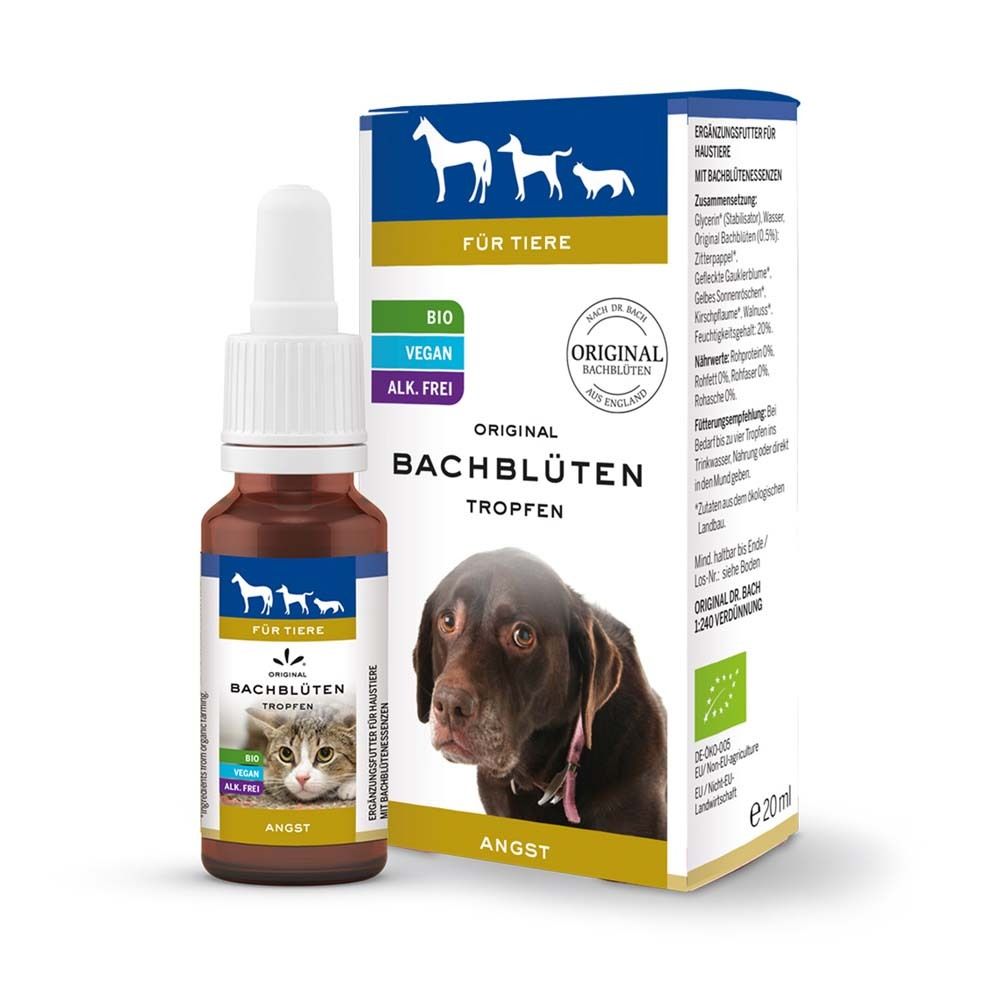 Braune Glasflasche und Karton. Produktname, Hund, Katze und Logo. Für Tiere. Bio, Vegan, Alkoholfrei. 20ml.