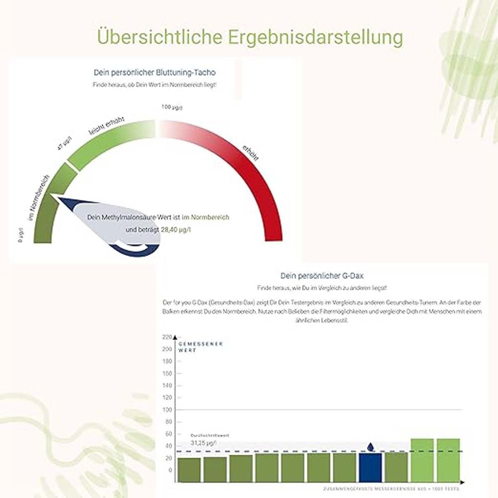 Grafik mit Ergebnisanzeige. Diagramm mit farbigen Balken und Text. Dein persönlicher Blut-Tuning-Wert.