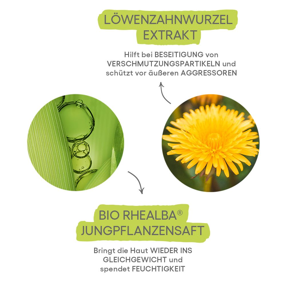 A-DERMA BIOLOGY Mizellenwasser. Inhaltsstoffe: Löwenzahnextrakt, Bio Rhealba Jungpflanzensaft. Auf weißem Hintergrund.