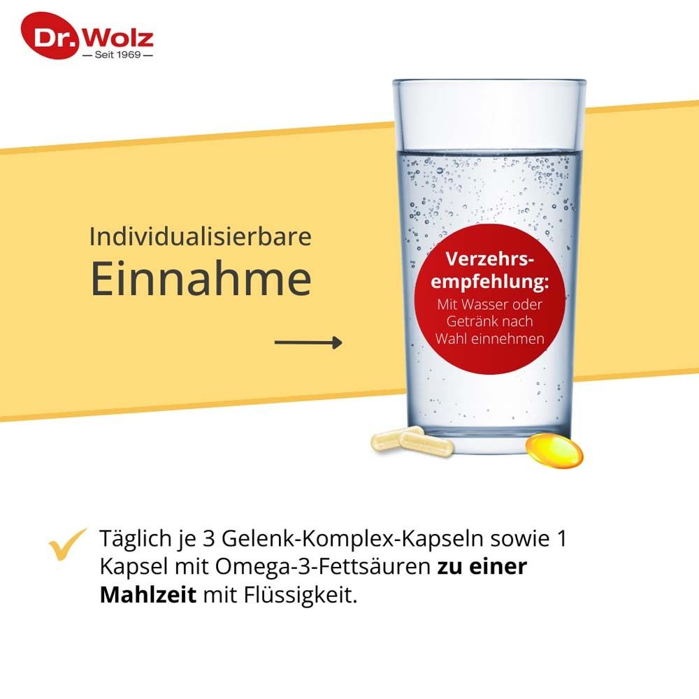 Dr. Wolz PROaktiv Komplex
