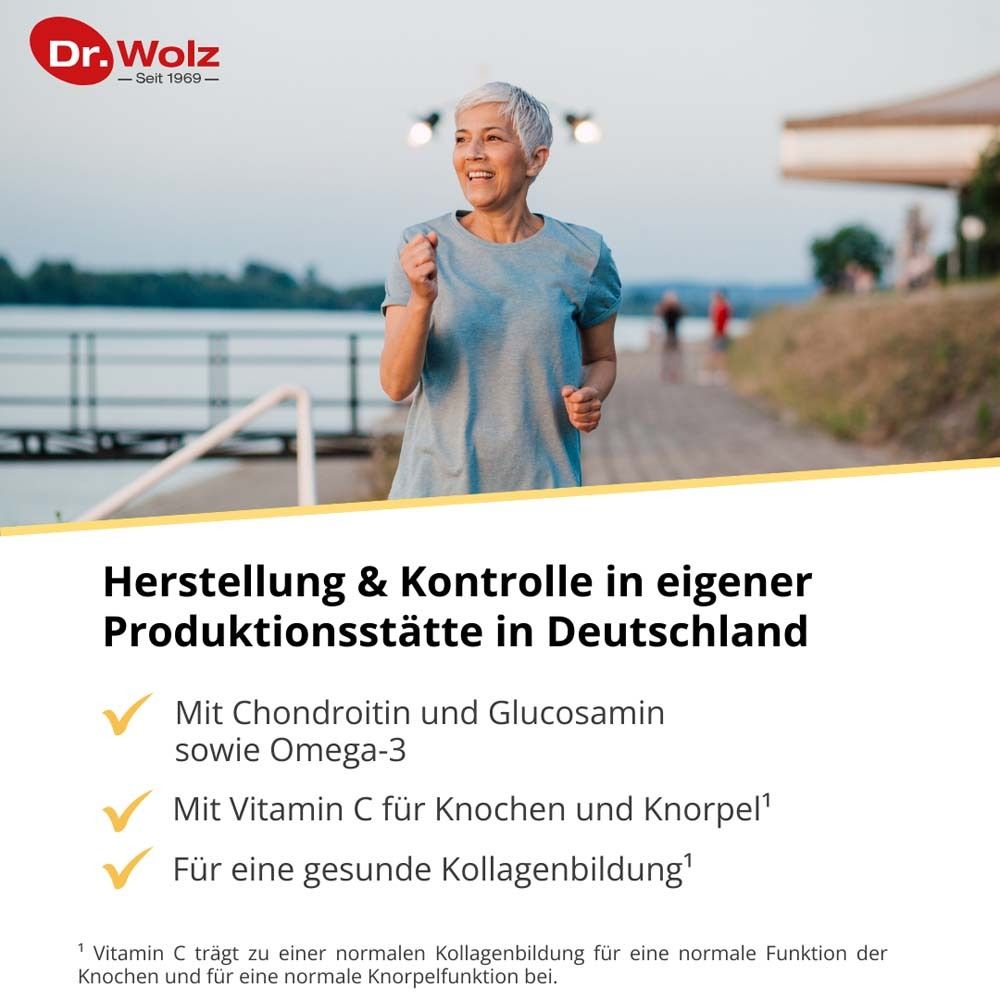 Dr. Wolz PROaktiv Komplex