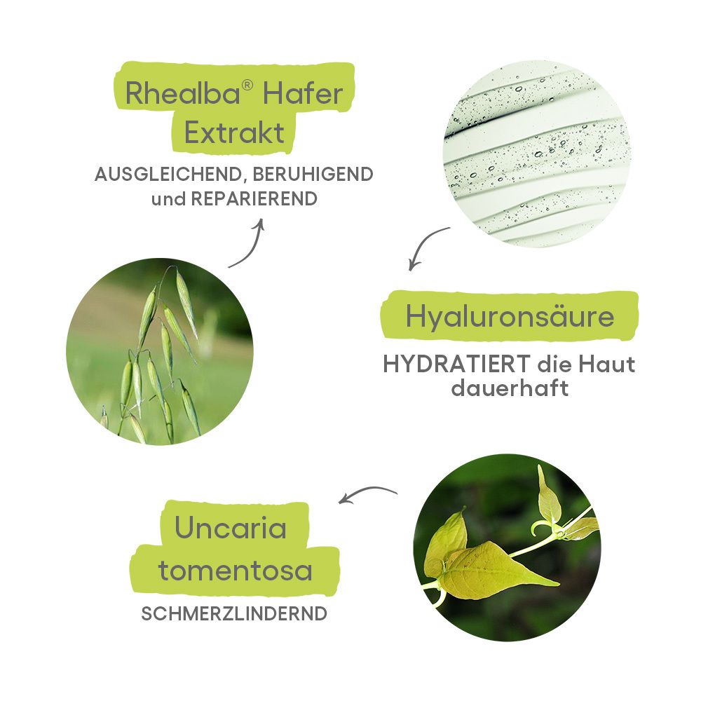 Infografik: Rhealba Hafer Extrakt, Hyaluronsäure und Uncaria Tomentosa mit Bildern von Hafer, Pflanze und Hautpflege-Textur.
