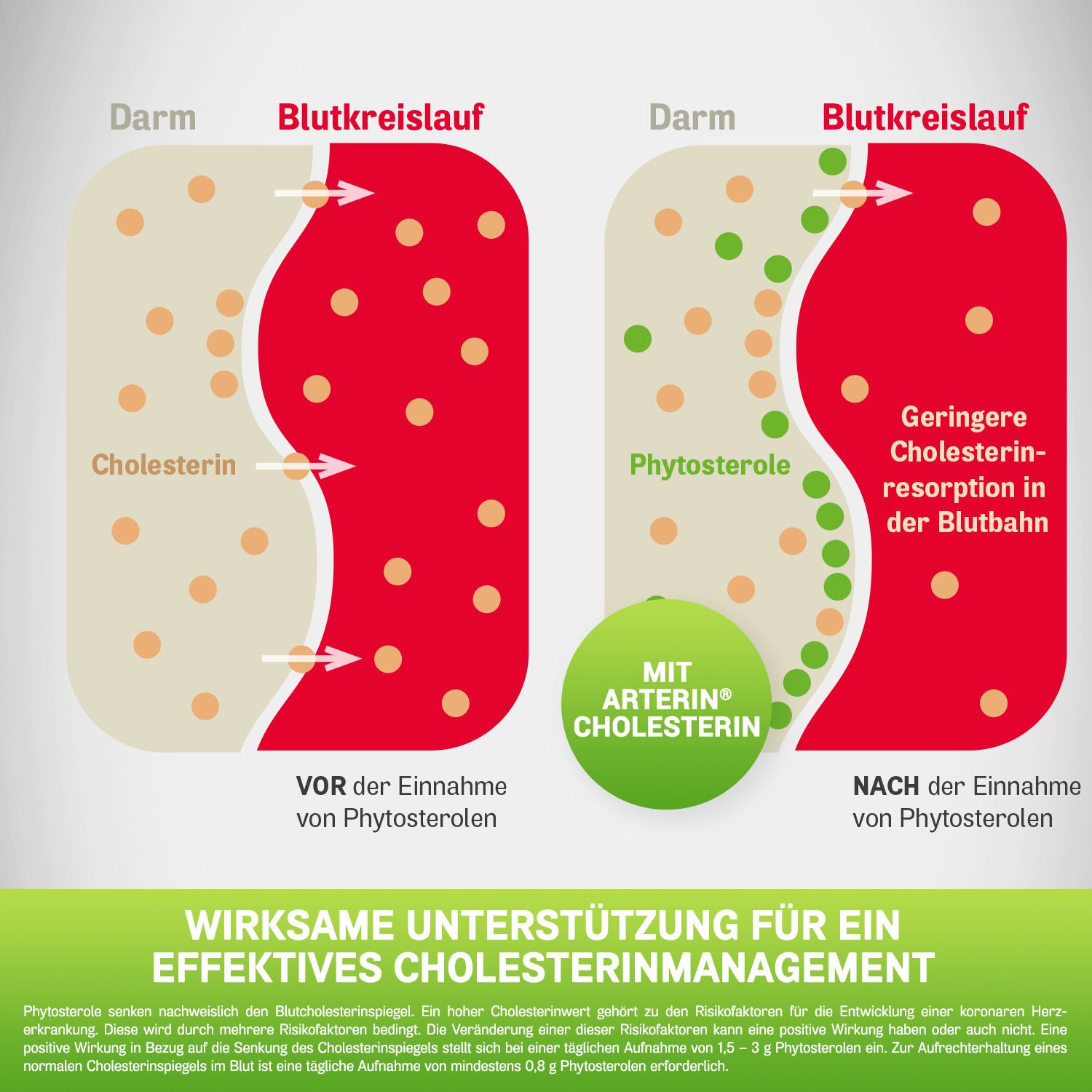 Arterin® Cholesterin