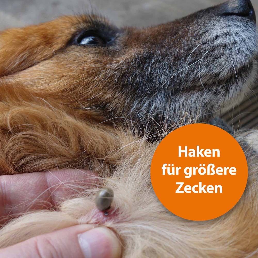 Hund mit Zecke. Der Haken wird zur Entfernung der Zecke verwendet. Orangefarbener Kreis mit Text.