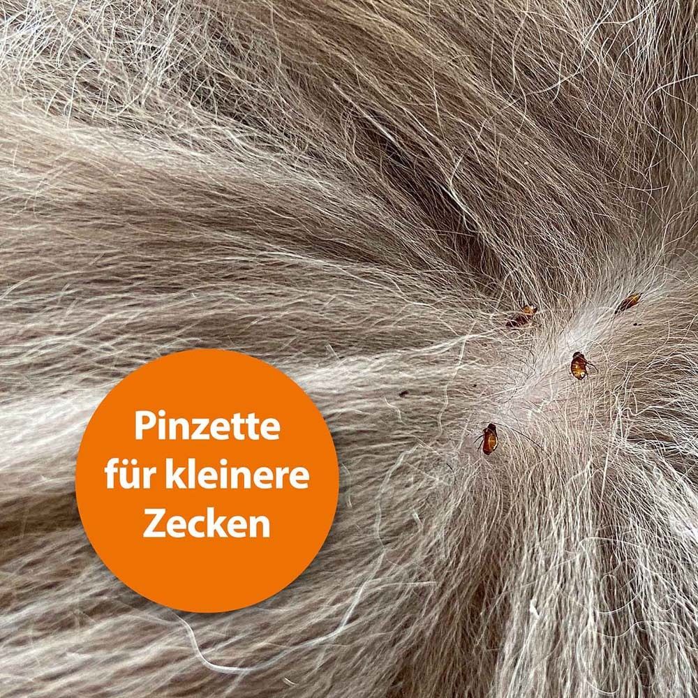 Hundefell mit Zecken. Orangefarbener Kreis mit Text: Pinzette für kleinere Zecken.