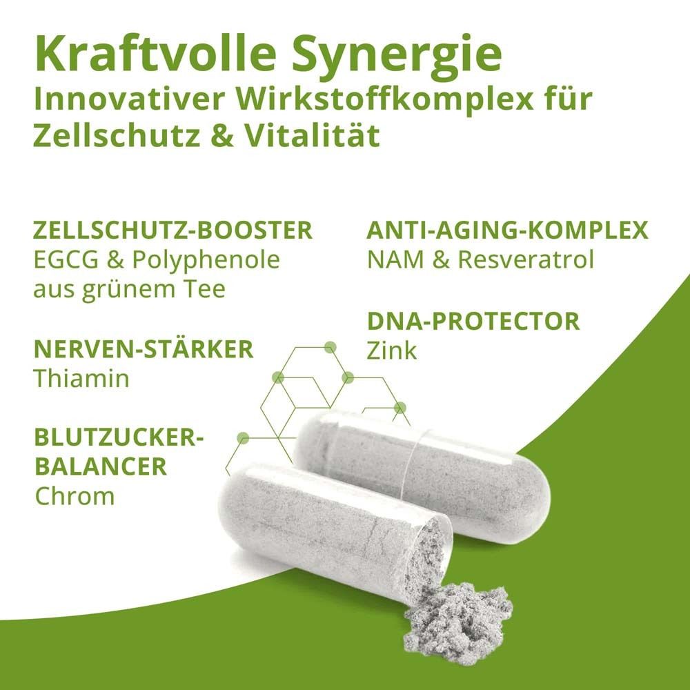 Kapseln mit Inhaltsstoffen: NAM & Resveratrol, EGCG, Zink, Thiamin, Chrom. Text: Zellschutz & Vitalität.