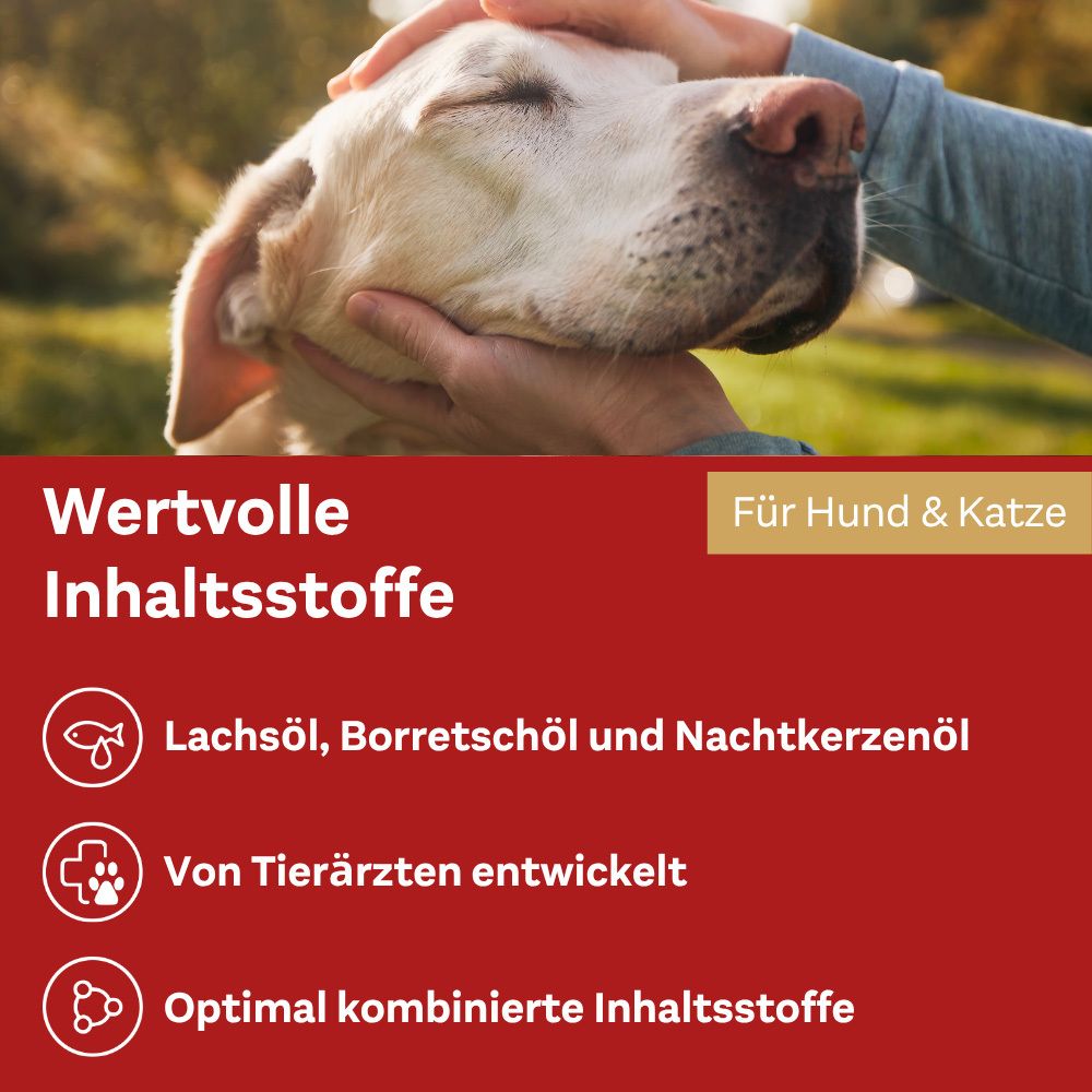 Hände halten Hund. Text: Wertvolle Inhaltsstoffe. Lachsöl, Borretschöl und Nachtkerzenöl. Von Tierärzten entwickelt.