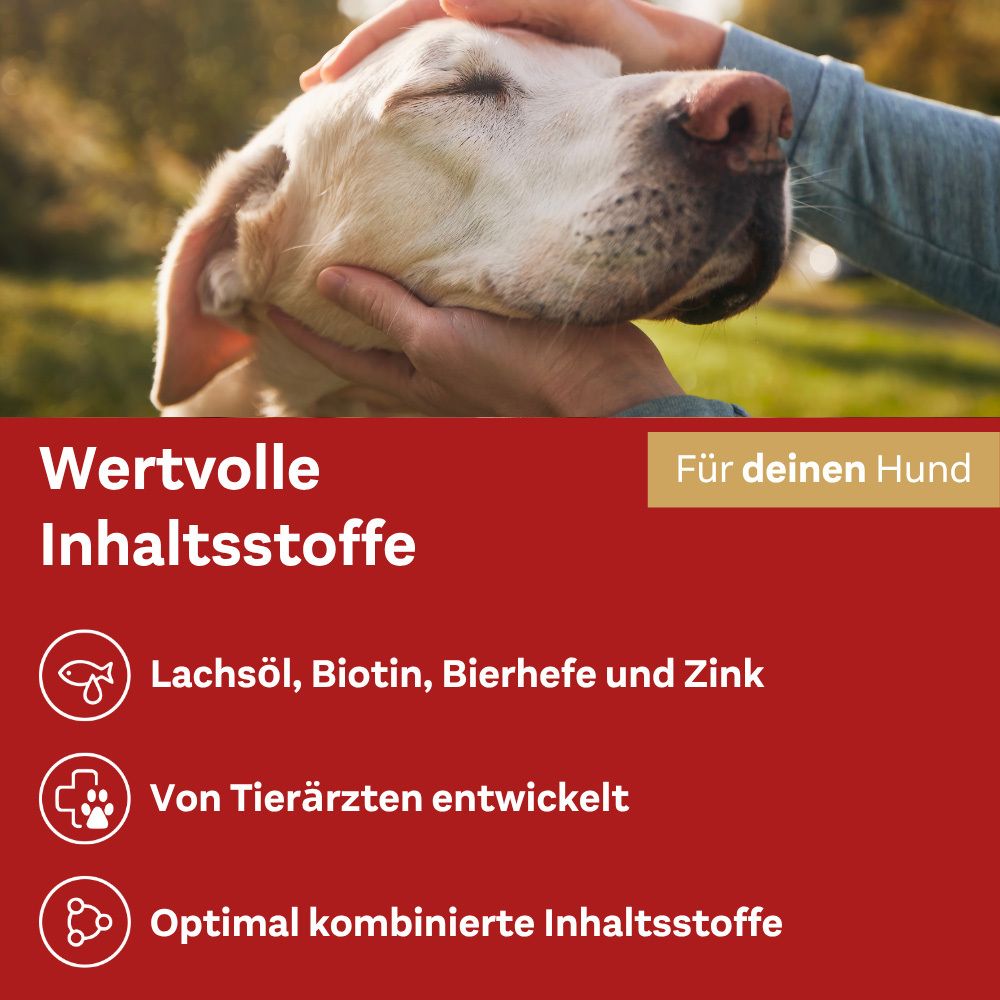 Werbung für Doppelherz für Tiere. Wertvolle Inhaltsstoffe für Hunde. Enthält Lachsöl, Biotin, Bierhefe und Zink.