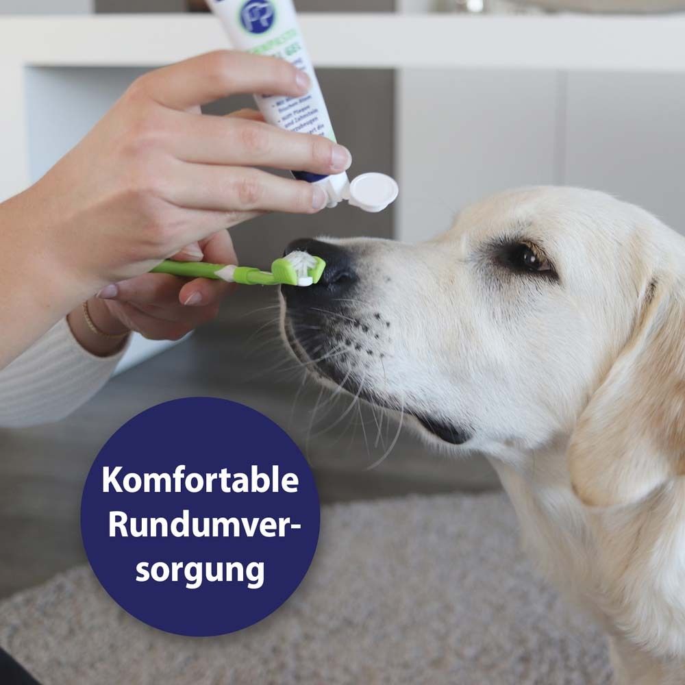 Canosept® Zahnpflege-Set für Hunde