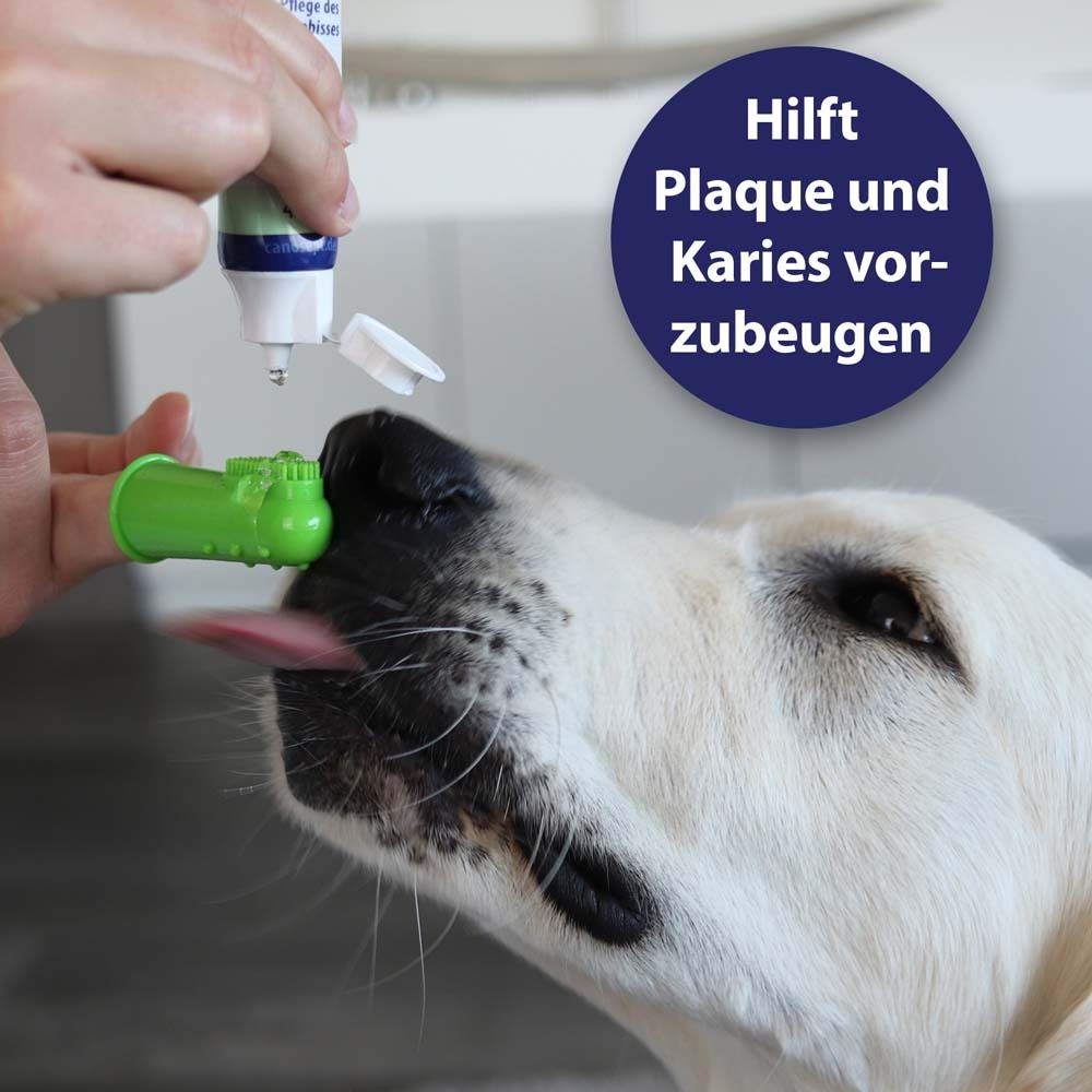 Canosept® Zahnpflege Finger-Bürste für Hunde