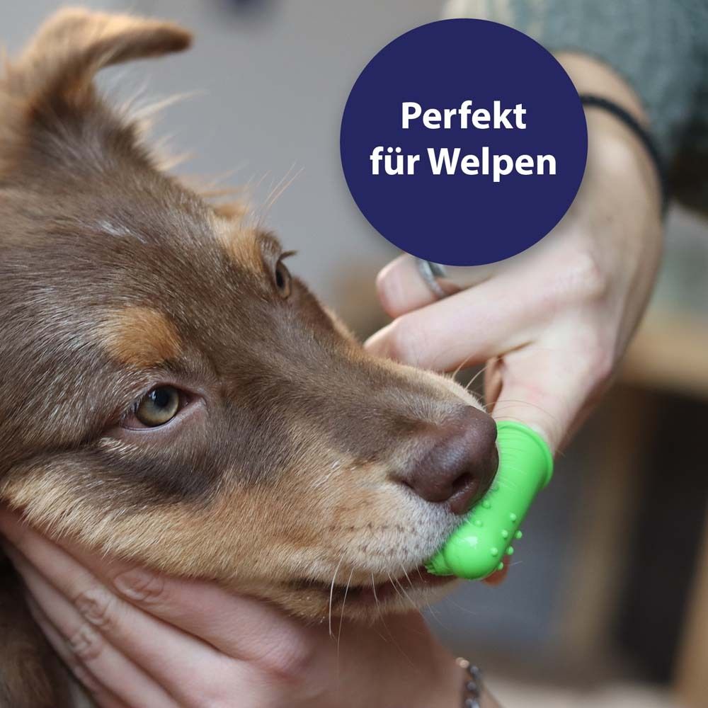 Canosept® Zahnpflege Finger-Bürste für Hunde