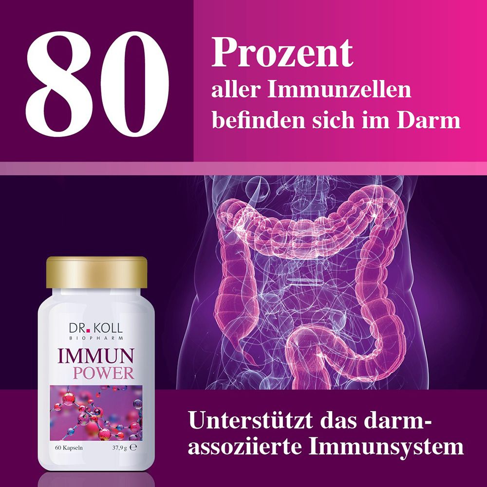 DR. KOLL IMMUN POWER Dose vor einer Darstellung des menschlichen Darms.
