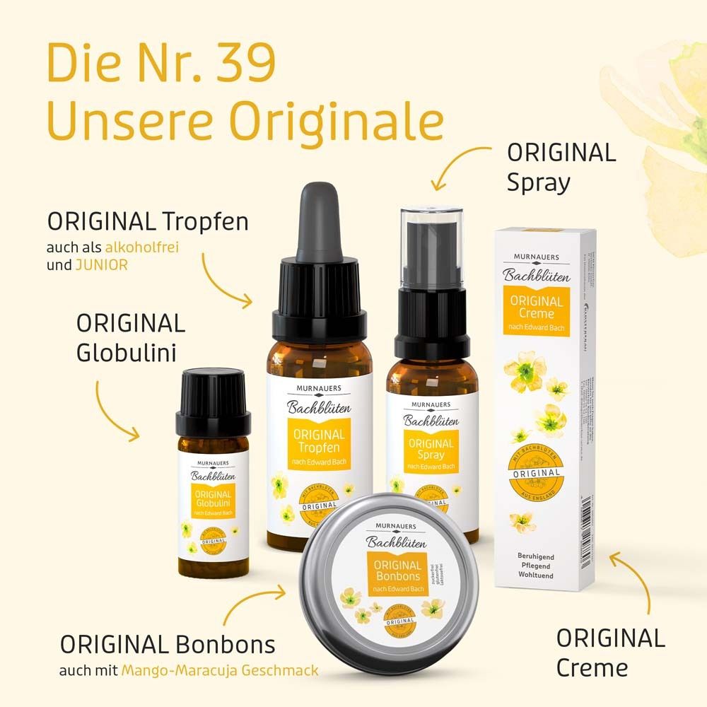 Verschiedene Produkte: Tropfen, Spray, Creme, Globuli und Bonbons. Alle mit "Original"-Logo.