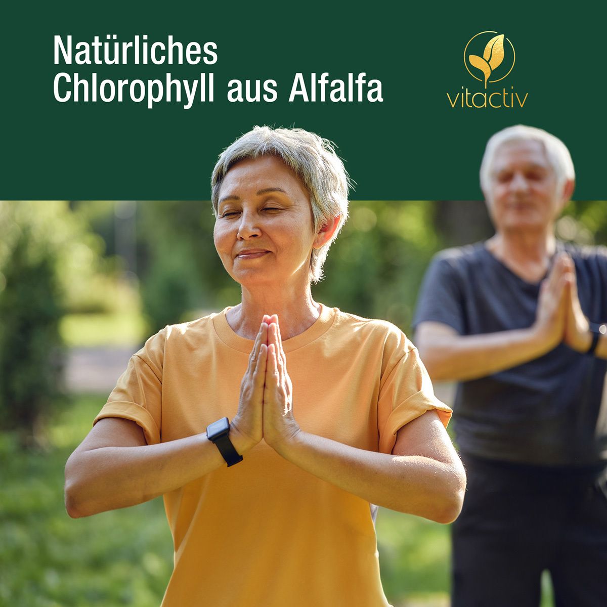 Vitactiv Chlorophyll Folsäure +