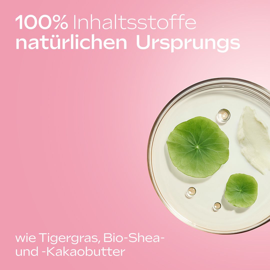 Inhaltsstoffe auf einem Teller: Tigergras, Bio-Shea und -Kakaobutter. Rosa Hintergrund.