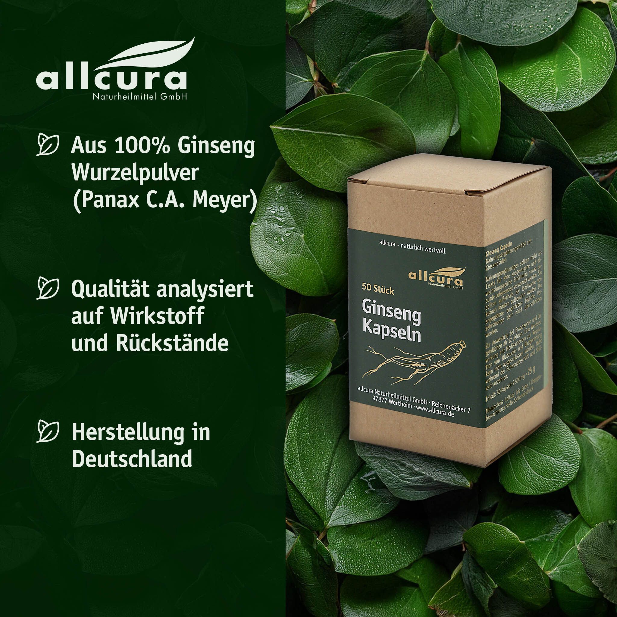 Karton mit 50 Ginseng Kapseln. Grüne Blätter im Hintergrund. Text: 100% Ginseng, Qualität, Herstellung in Deutschland.