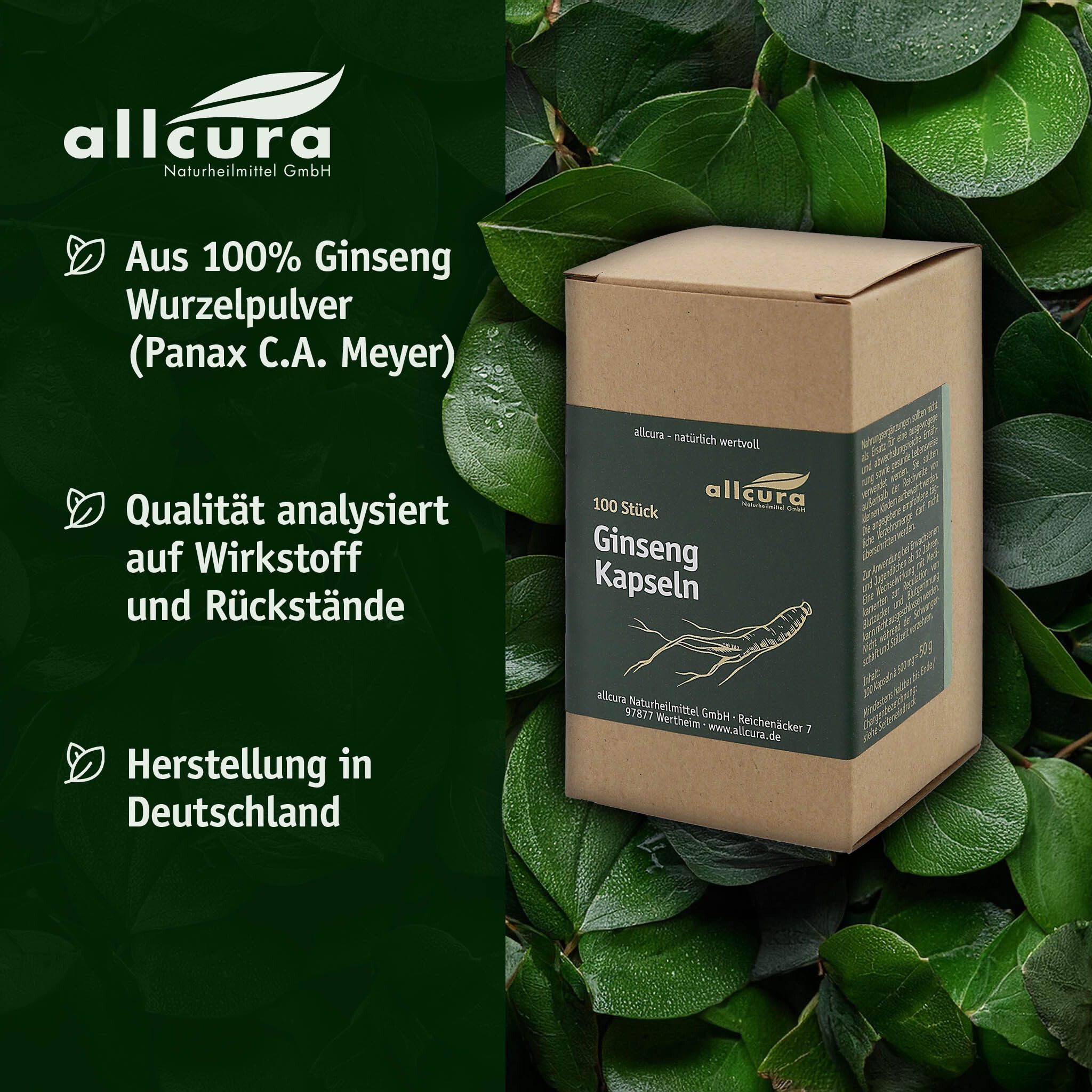 Braune Pappschachtel mit grünem Etikett. Text: Aus 100% Ginseng Wurzelpulver. Logo: allcura. Hintergrund: grüne Blätter.
