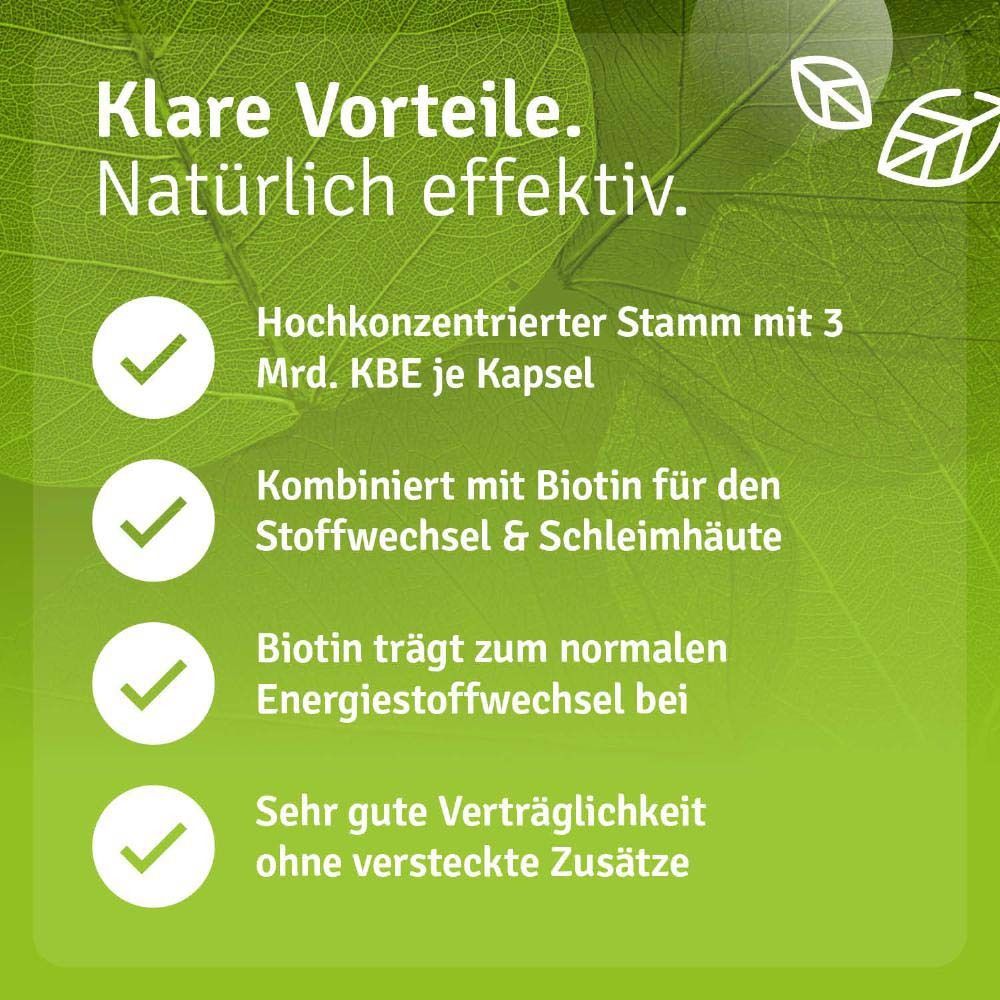Text auf grünem Hintergrund: Hochkonzentrierter Stamm, kombiniert mit Biotin. Sehr gute Verträglichkeit.