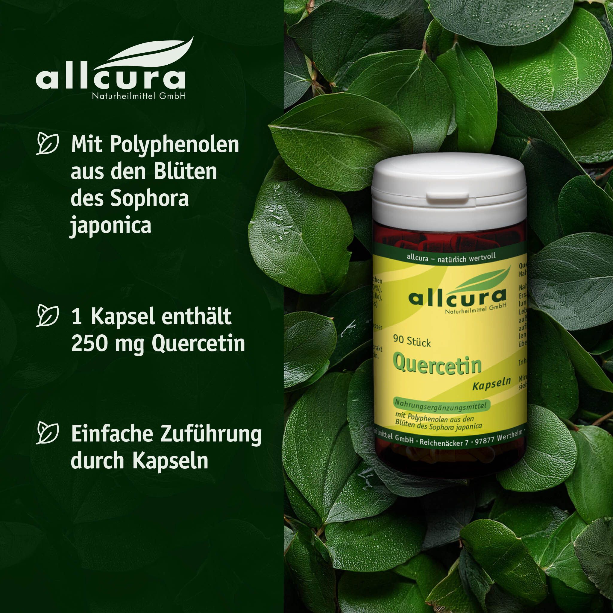 Braune Flasche mit weißem Deckel, umgeben von Blättern. Text: 90 Stück Quercetin Kapseln. Marke: allcura.