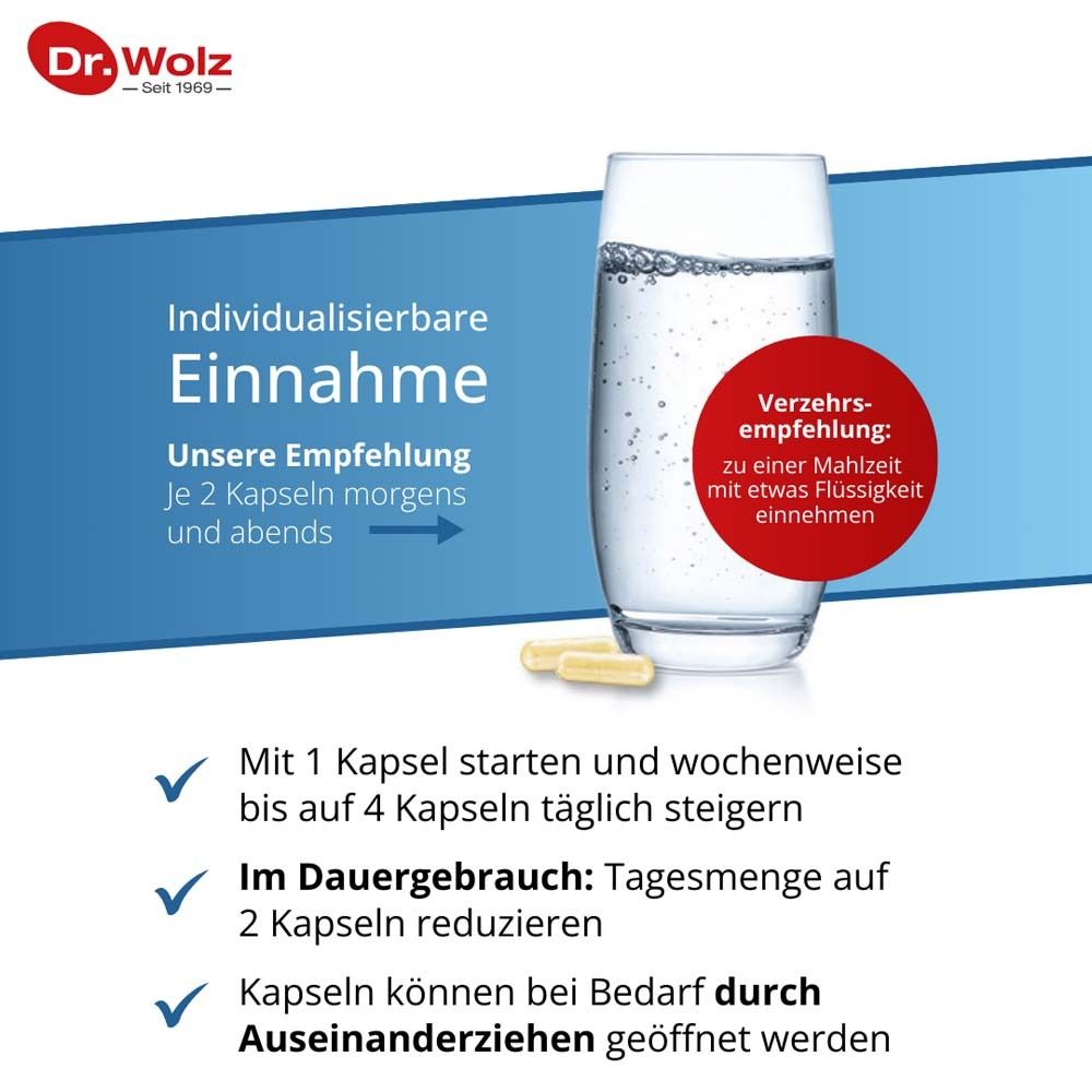 Dr. Wolz Darmflora select complex*