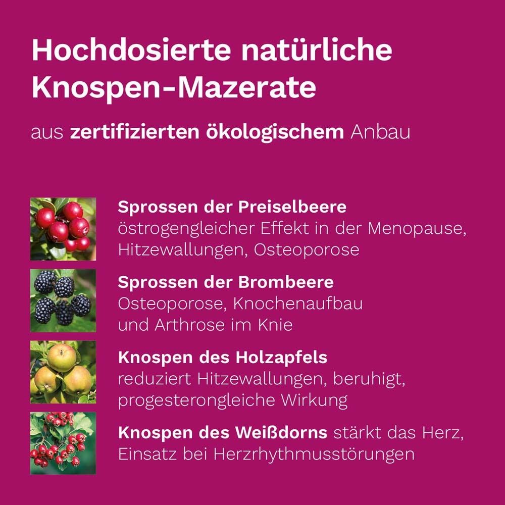 Text über Knospen-Mazerate. Sprossen der Preiselbeere, Brombeere, Holzapfels, Weißdorns. Zertifizierter Anbau.