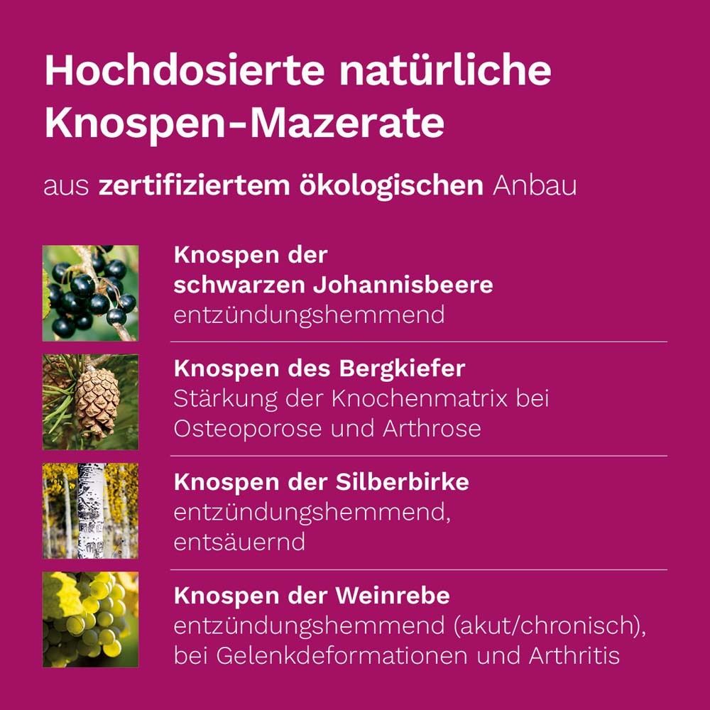DR. KOLL Arthro Plus*