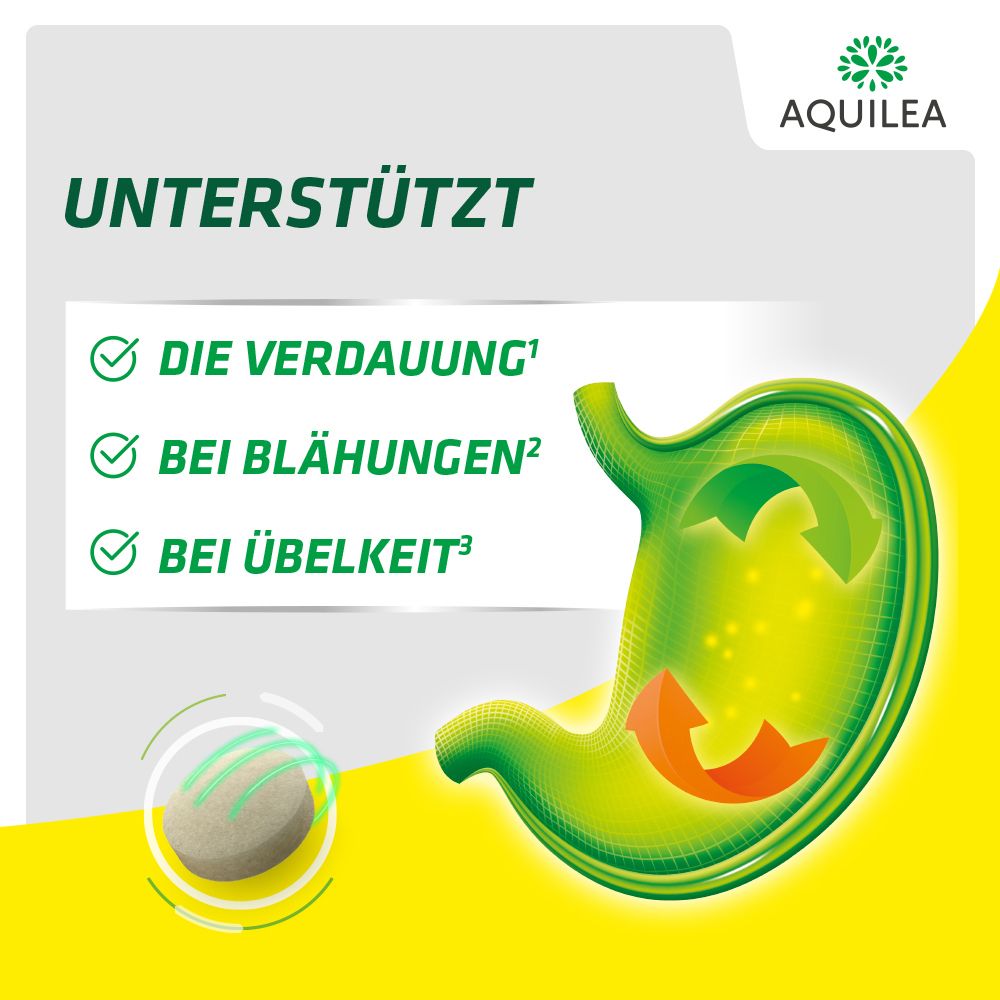 Grafik mit grüner Magen-Illustration. Text: Unterstützt die Verdauung, bei Blähungen, bei Übelkeit.